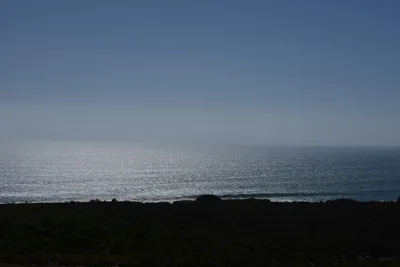 DSC_6894 (Large).JPG